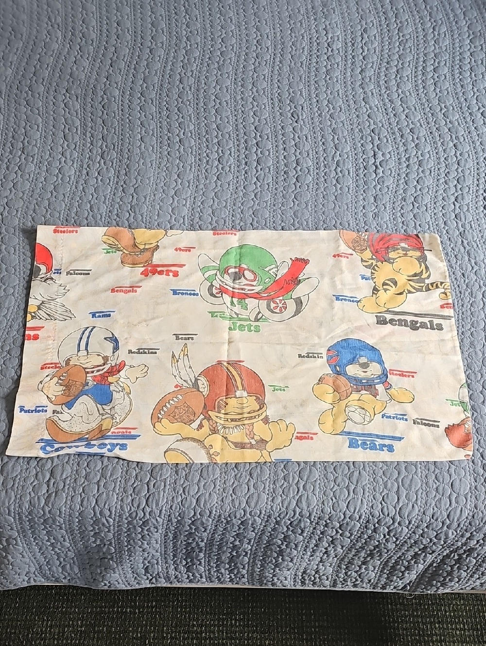 Vintage NFL Pillow Case